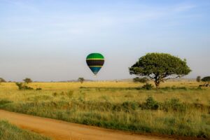 Serengeti Safari Ruaha Cost