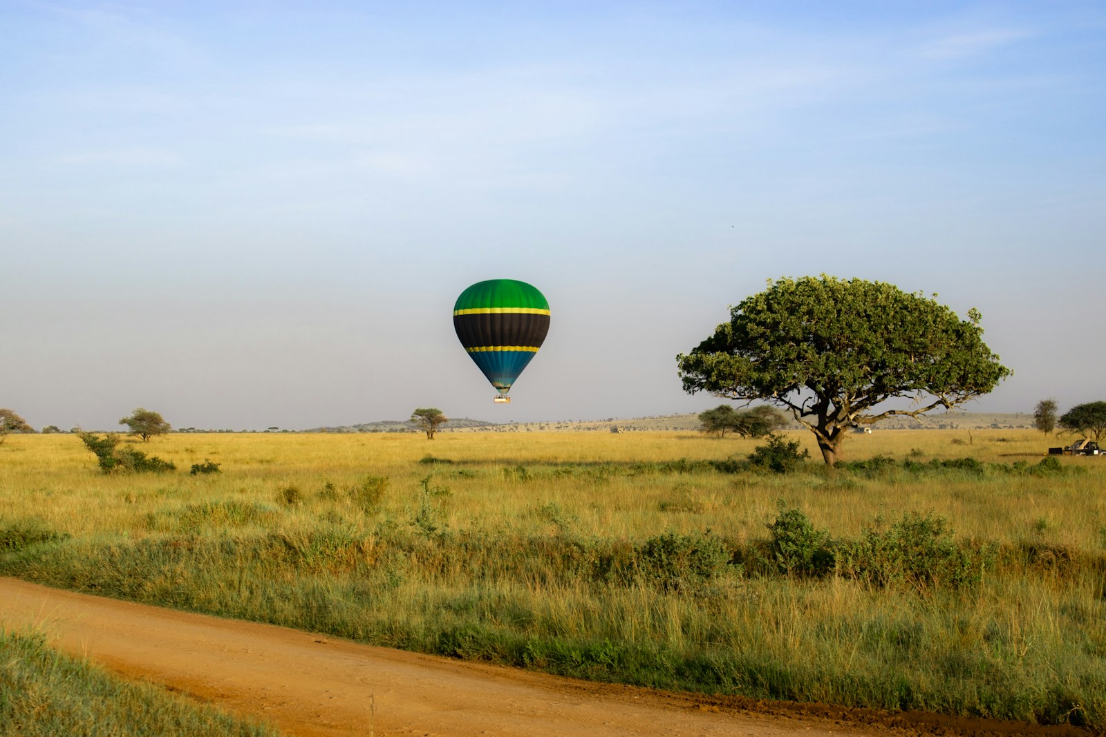 Serengeti Safari Ruaha Cost