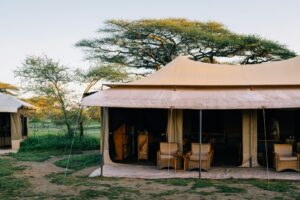Top Tanzania Safari Packages