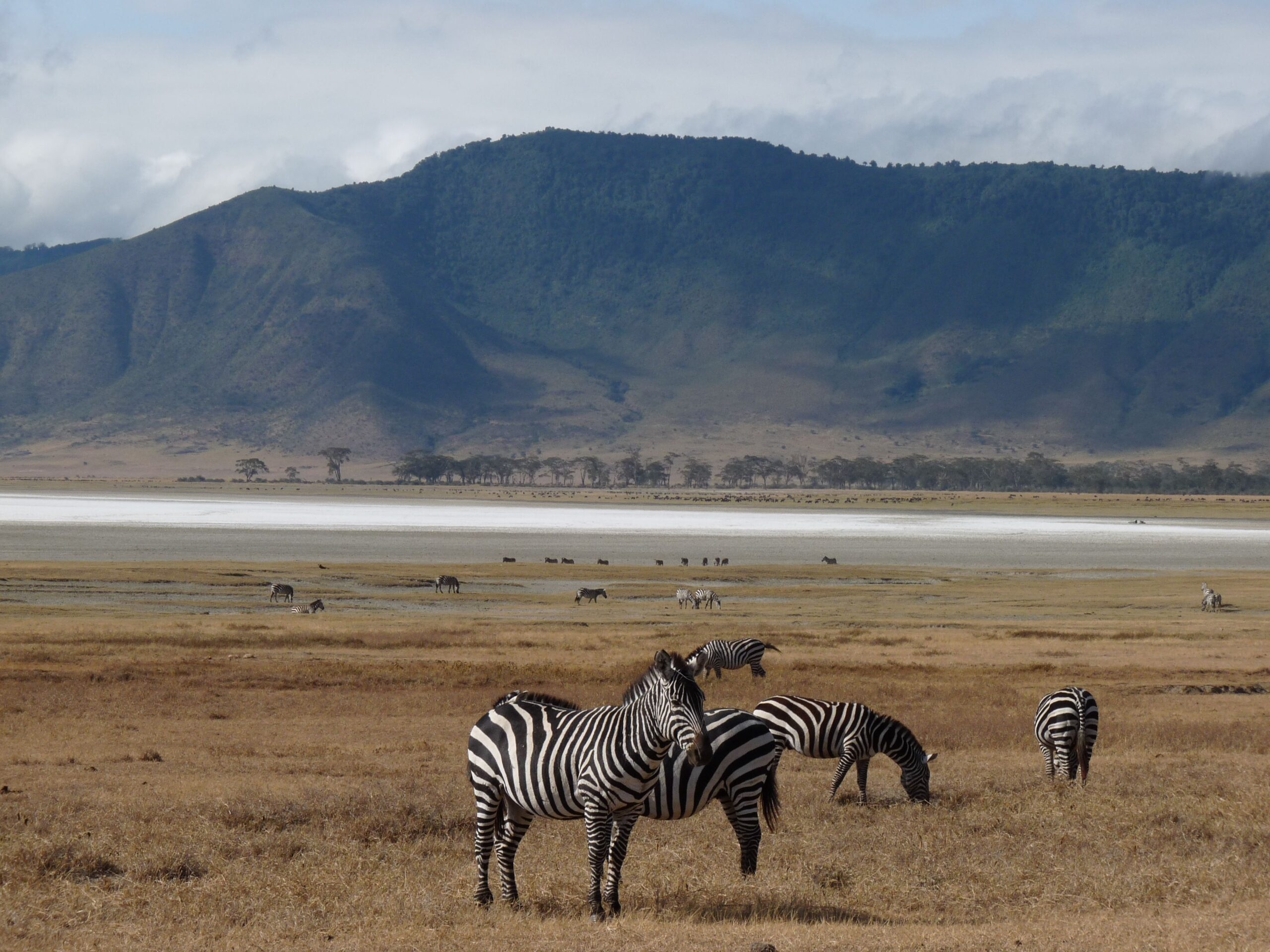 Budget Ngorongoro Crater Safari Tours