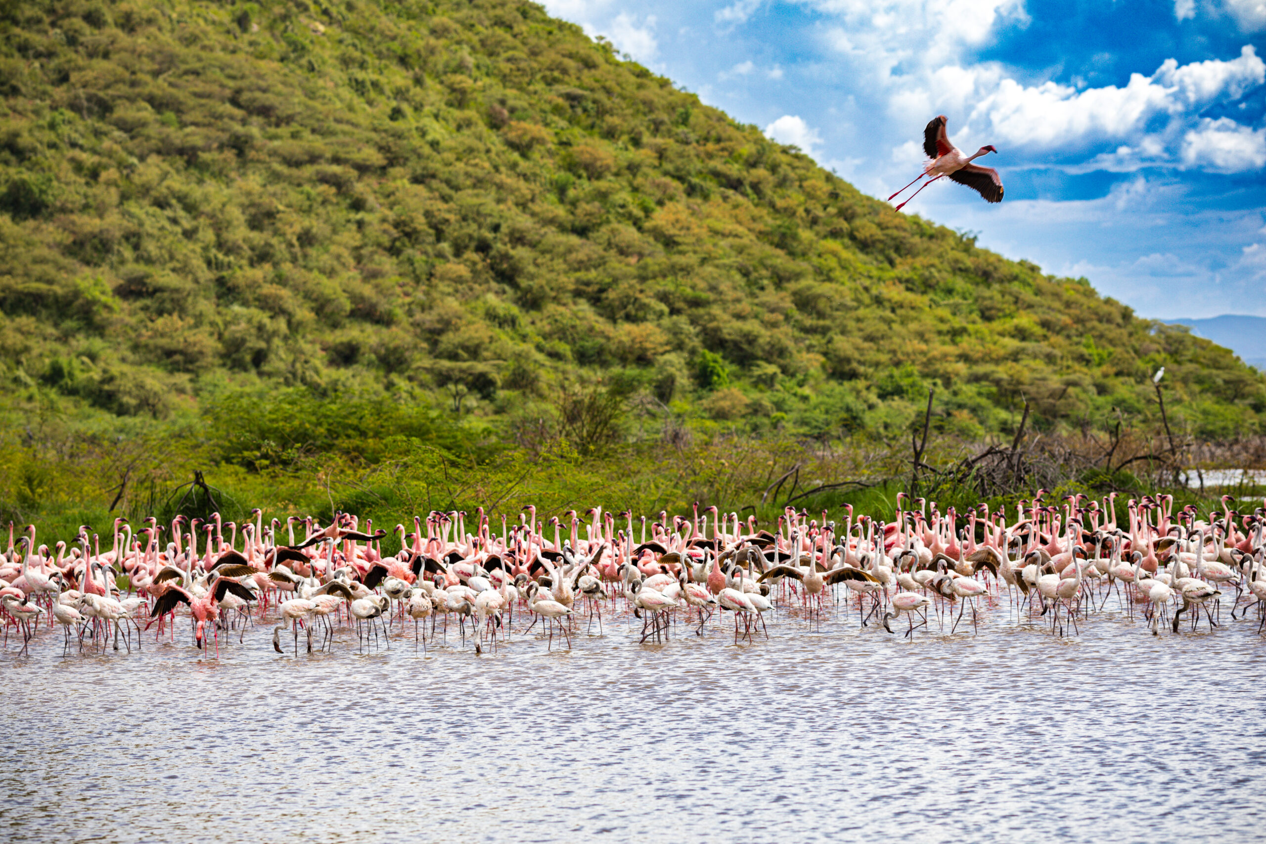 Lake Manyara safari Lake Manyara planning