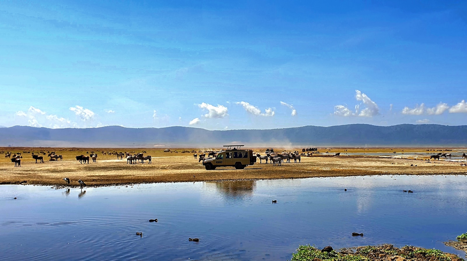 Private Ngorongoro Crater Safari Company