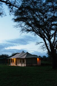 Exclusive Tanzania Safari Itinerary Trip