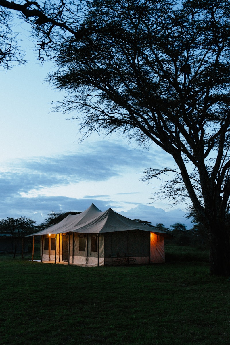 Exclusive Tanzania Safari Itinerary Trip