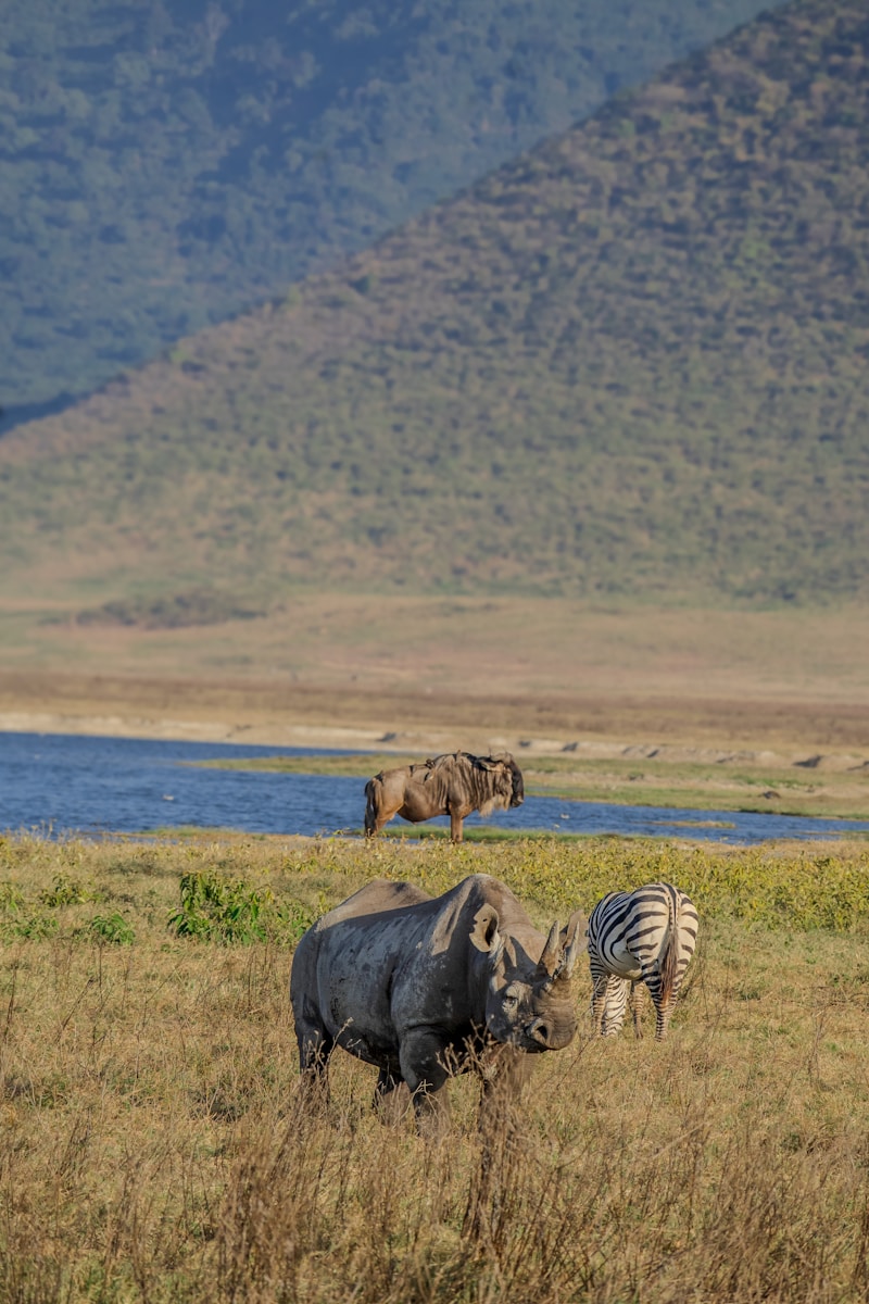 family Ngorongoro Crater safari packages