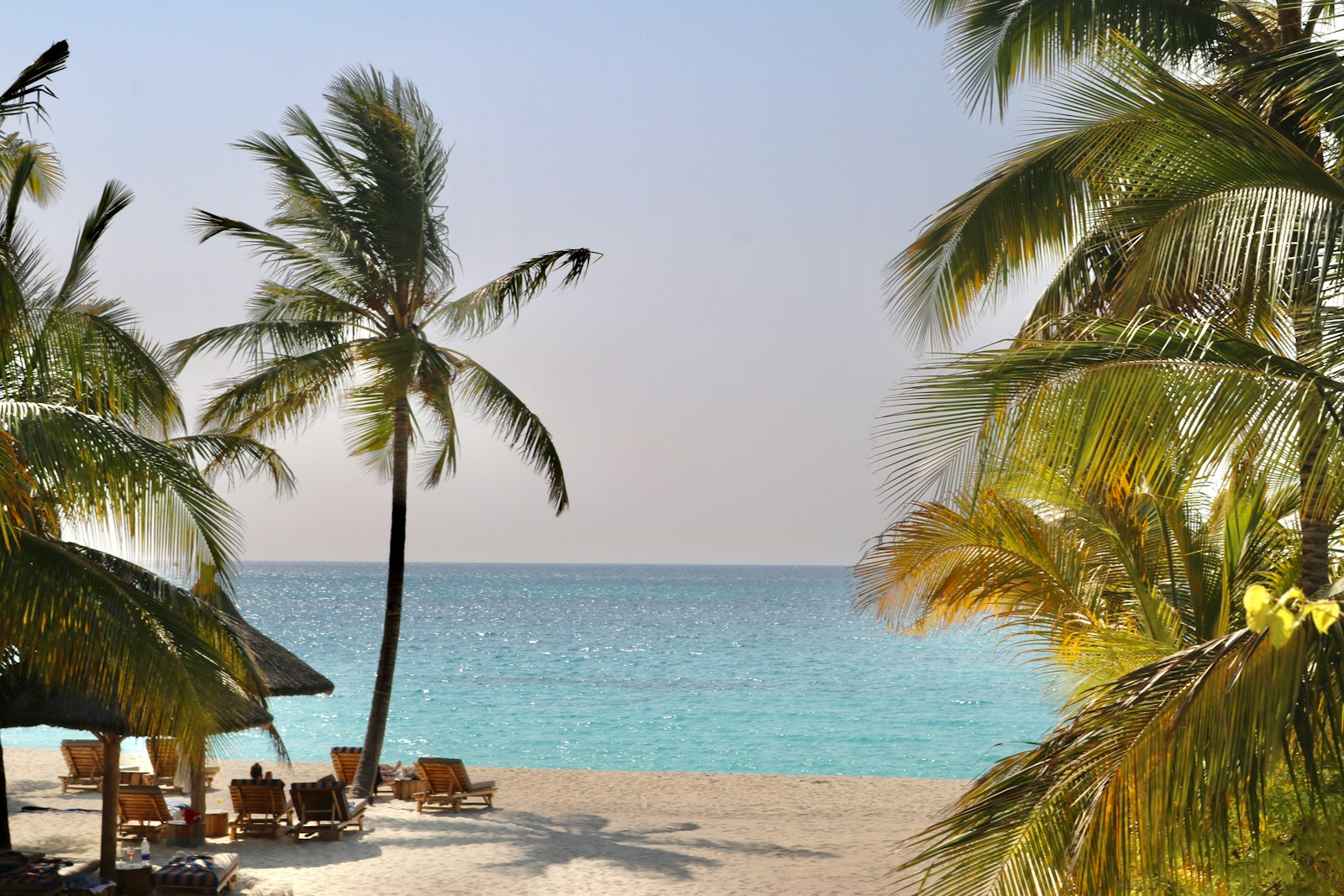 Tanzania safari tour Zanzibar cost