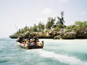 Tanzania Wildlife Safari Zanzibar Tours