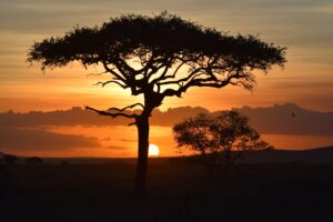 Tanzania Tanzania Safari Package