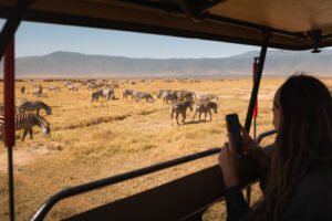 Tarangire Safari Serengeti Experience