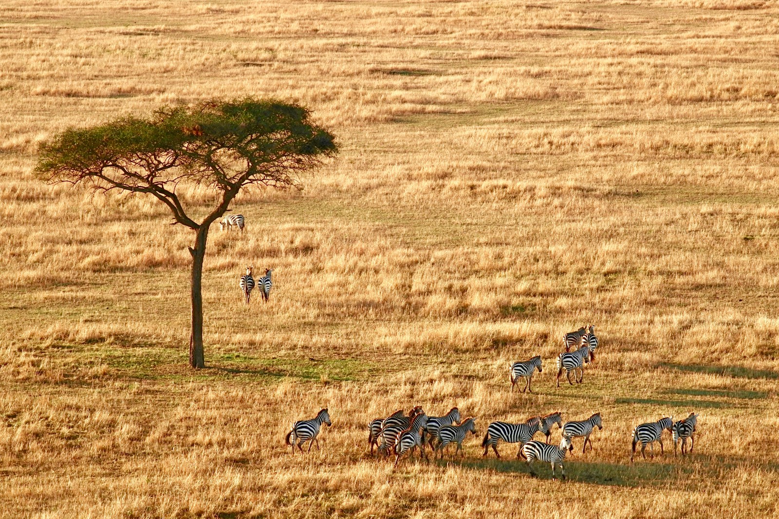 Tanzania Safari Southern Circuit Planning