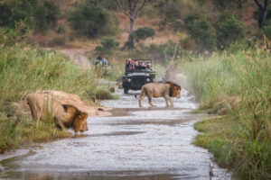 Southern Circuit Tanzania Wildlife Safari