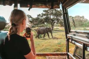 Tarangire safari Serengeti vacation