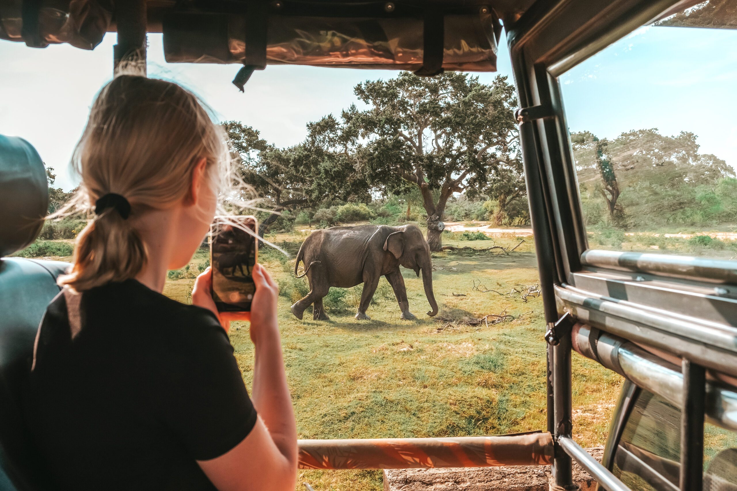 Tarangire safari Serengeti vacation