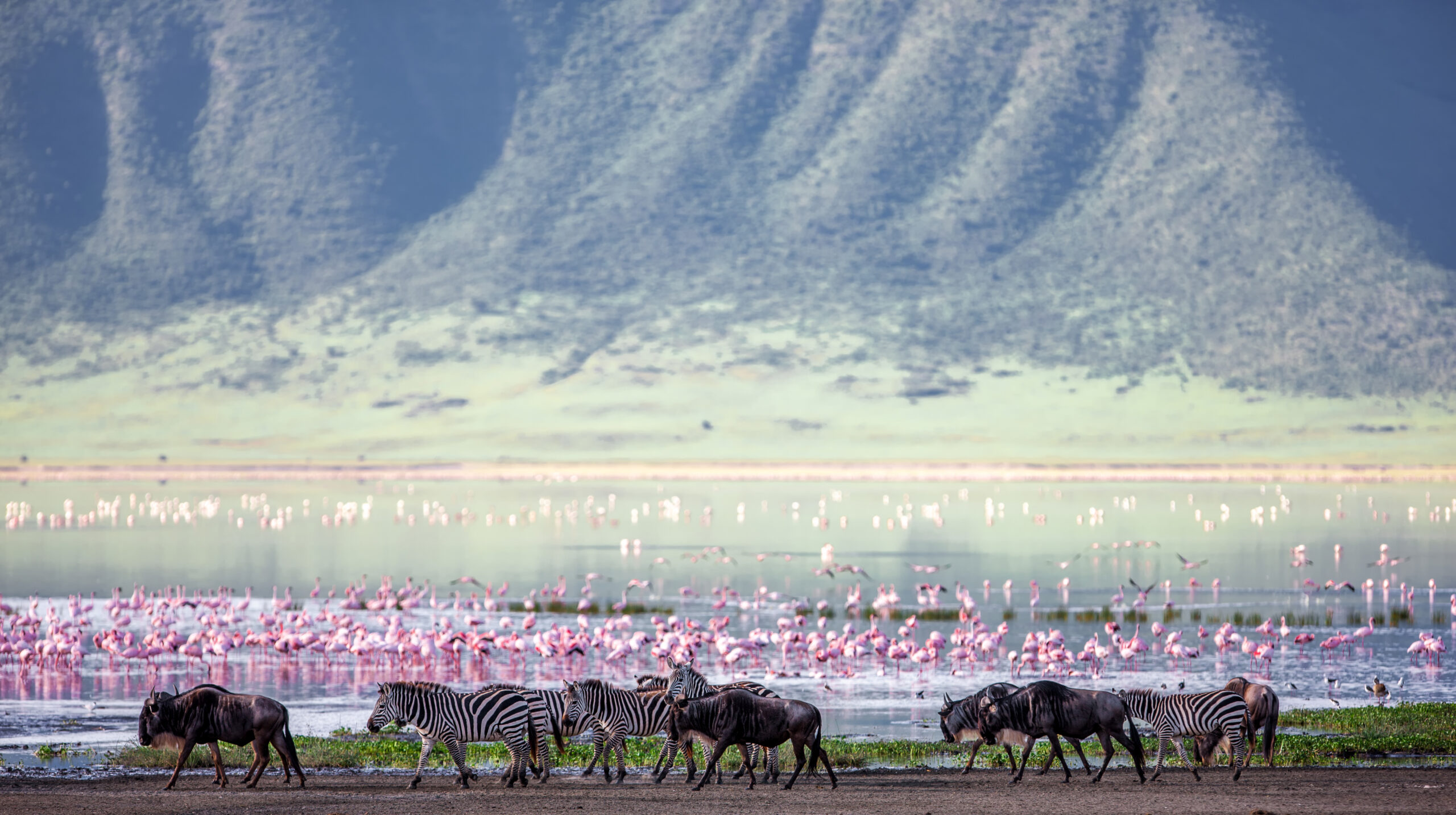 Lake Manyara safari Nyerere itinerary