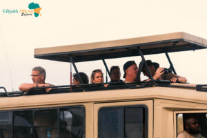 Photography Tanzania Safari Cost Experience