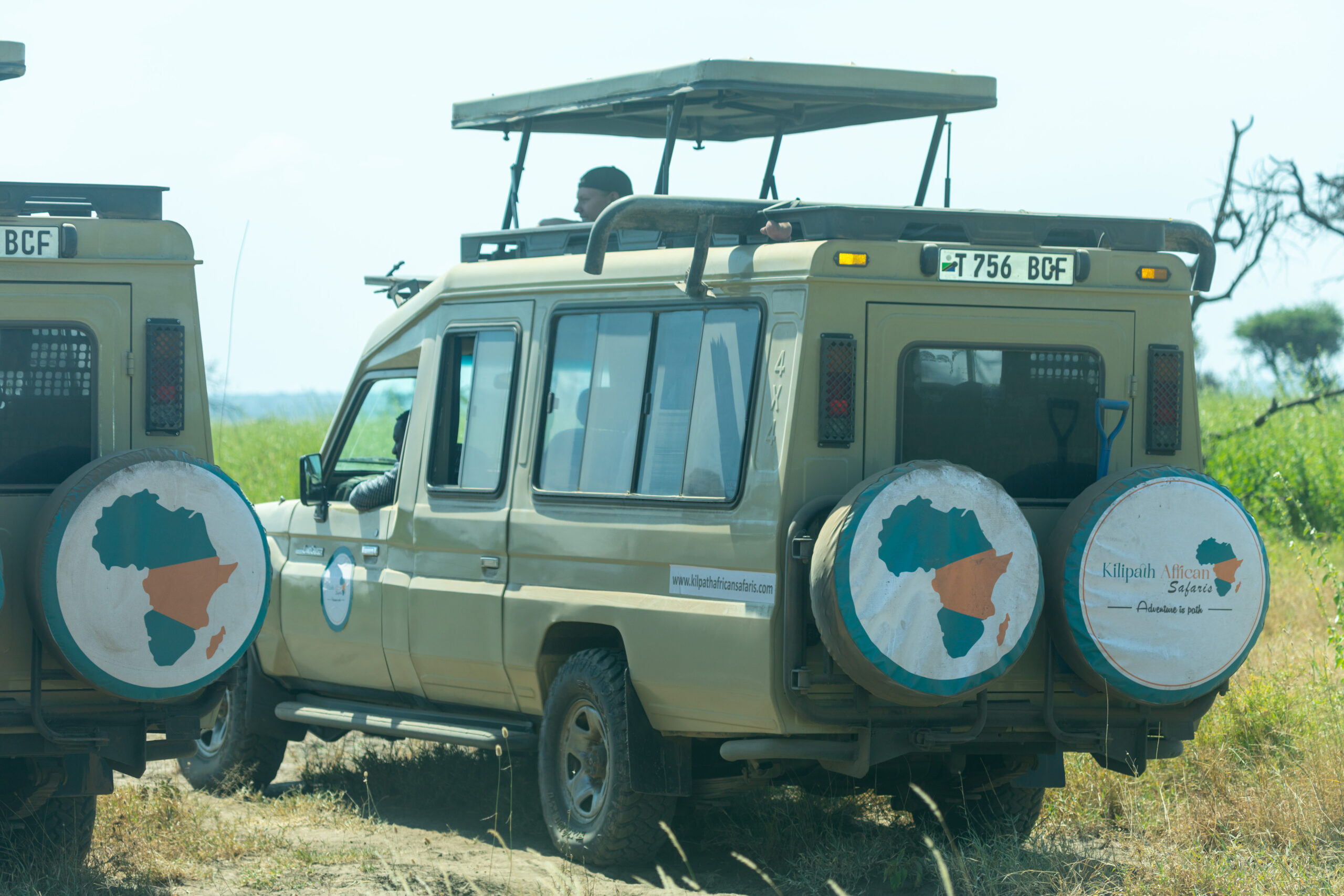 Luxury Tanzania Safari Itinerary Experience