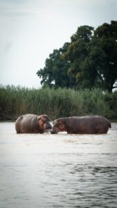 Private Tanzania Safari Itinerary Itinerary