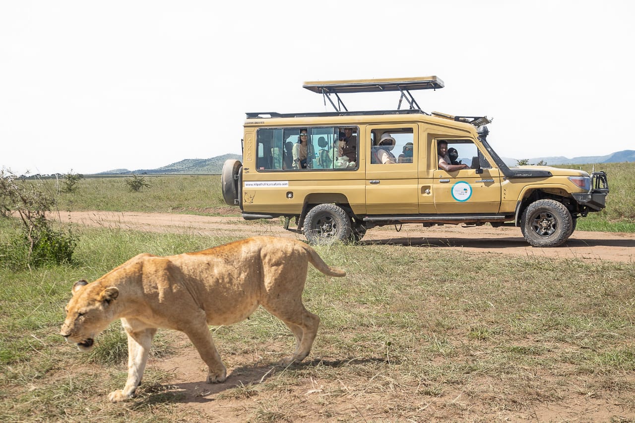 Serengeti Safari Tanzania Company