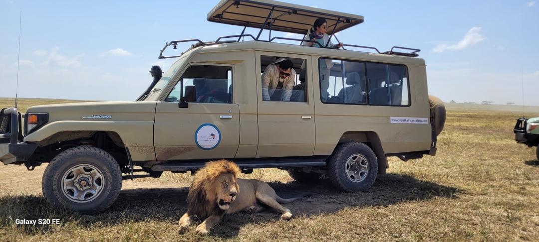 Serengeti safari travel guide