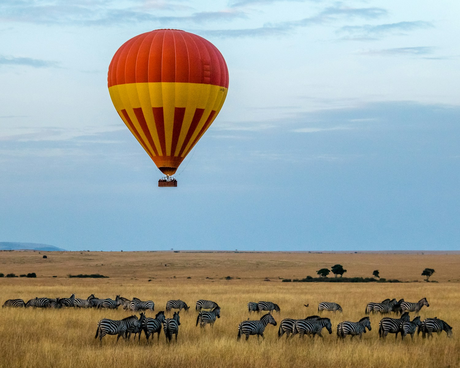 Affordable Tanzania Safari Tour Deal