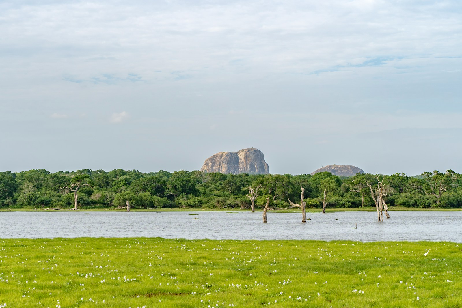 Affordable Nyerere National Park Safari Company
