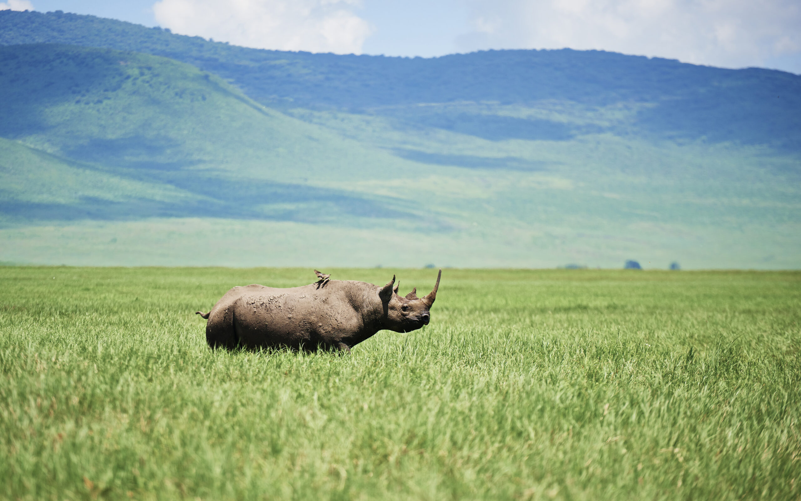 best Ngorongoro Crater safari price