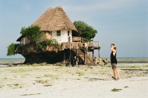Zanzibar Tanzania wildlife safari