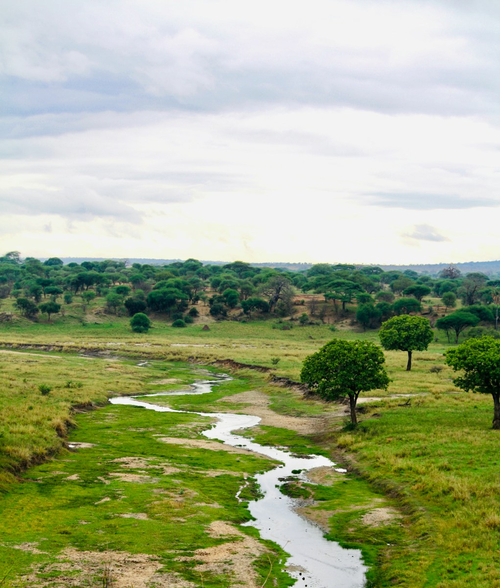 Photography Tarangire Safari Price