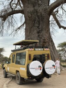All-inclusive Tarangire safari trip