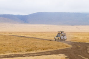 Luxury Ngorongoro Crater safari experience