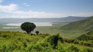 Top Ngorongoro Crater safari travel guide