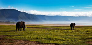 Exclusive Ngorongoro Crater safari cost