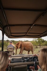 Family Tanzania Safari Tour Vacation