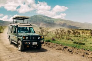 Premium Tanzania safari cost holiday
