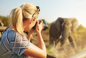 Photography Tarangire safari