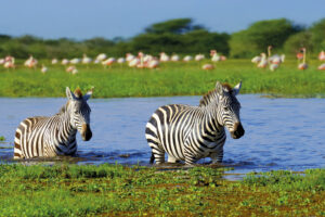Lake Manyara Photography Safari