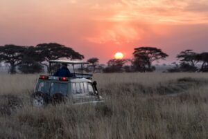 Exclusive Tarangire Safari Price