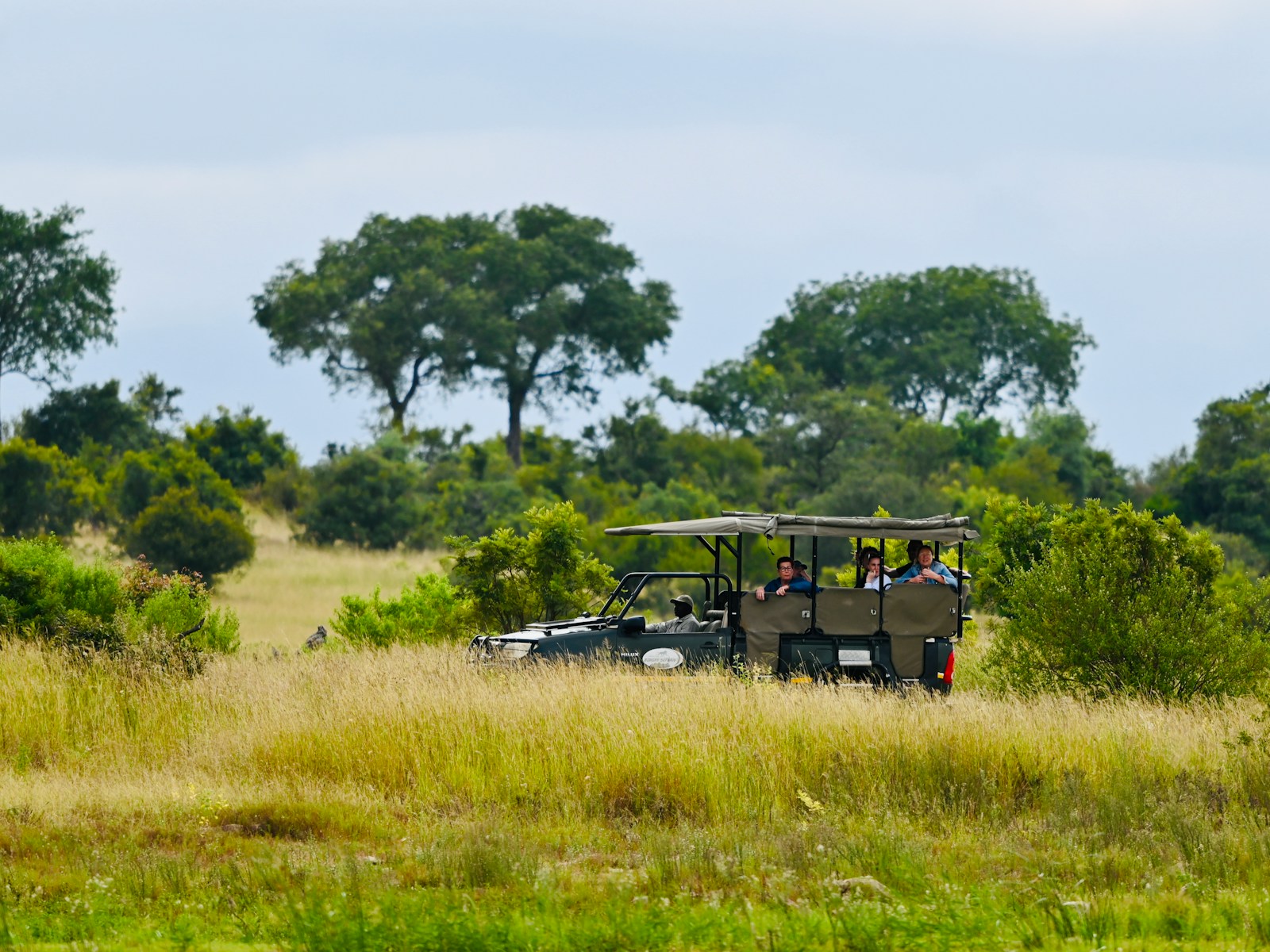 Premium Serengeti Safari Deal