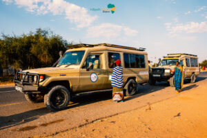 Tanzania safari tour Nyerere adventure