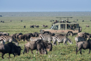 group Tanzania safari package trip