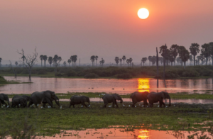 Top Lake Manyara Safari Packages