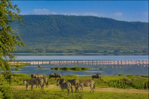 Tanzania safari Lake Manyara itinerary