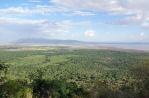 Ruaha and Northern Circuit Safari