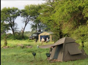 Private Tanzania Safari Cost