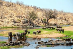 Tanzania safari tour Serengeti holiday