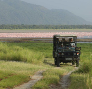 Guided Tanzania wildlife safari itinerary