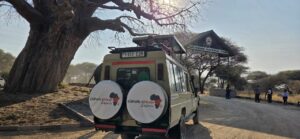 Tarangire safari Nyerere company