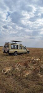 cheap Tanzania safari package