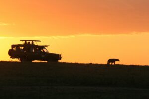 Premium Tarangire safari trip