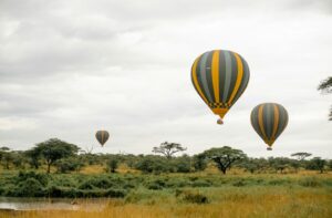 Affordable Tanzania safari tour packages